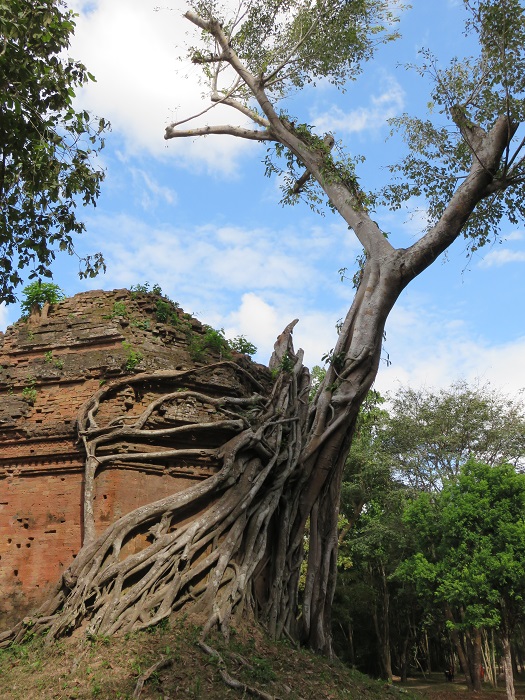 temple Cambodge Prasat Preah Stung arbre